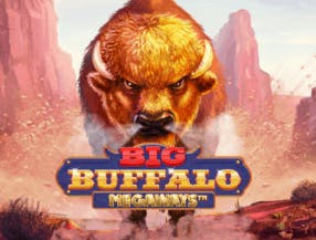 game logo by Skywind Group on vegasinocasino1.com