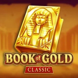 game logo by Playson on vegasinocasino1.com