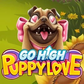 game logo by RubyPlay on vegasinocasino1.com